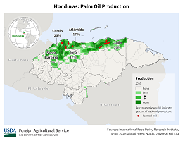 images\HO\cropprod\Honduras_Oil_Palm_preview.png